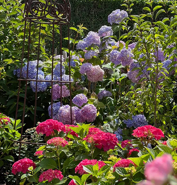 Ferienhaus Föhrliebt Blumen