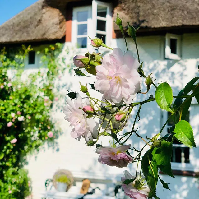 Ferienhaus Föhrliebt | Hausansicht