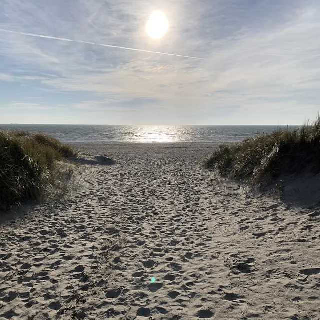 Ferienhaus Föhrliebt | Strand